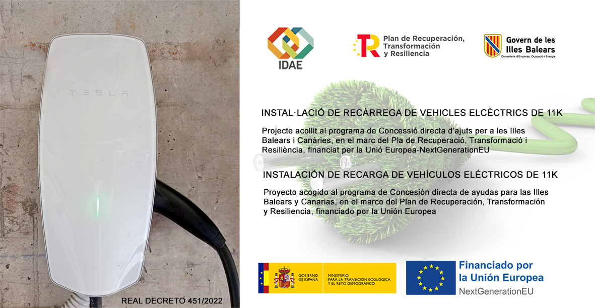 Imagen de flores en cargador